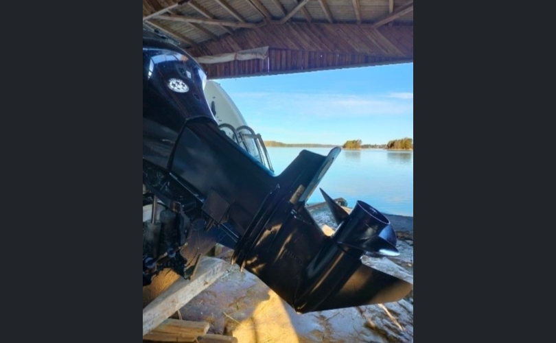 MV-Marin 6600 FC-kuva-2